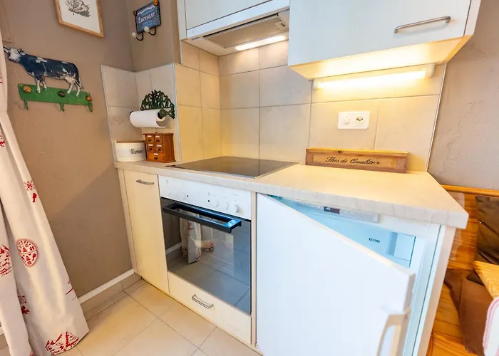 Grand Balcon Panoramique ,vue Alpes ,famille Apartment Leysin